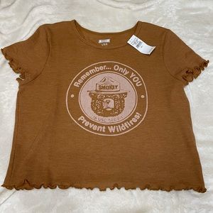 Smokey the bear cropped tee